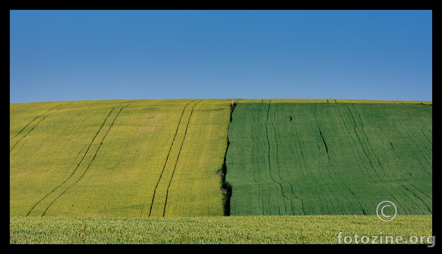 Hrvatska žitnica