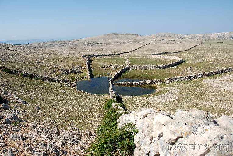 Diviska