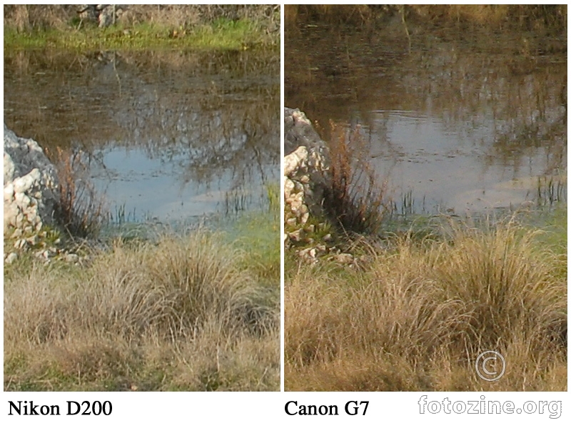 Nikon D200 vs Canon G7