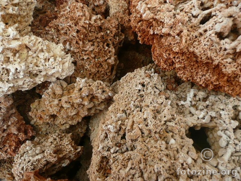 koraljno kamenje