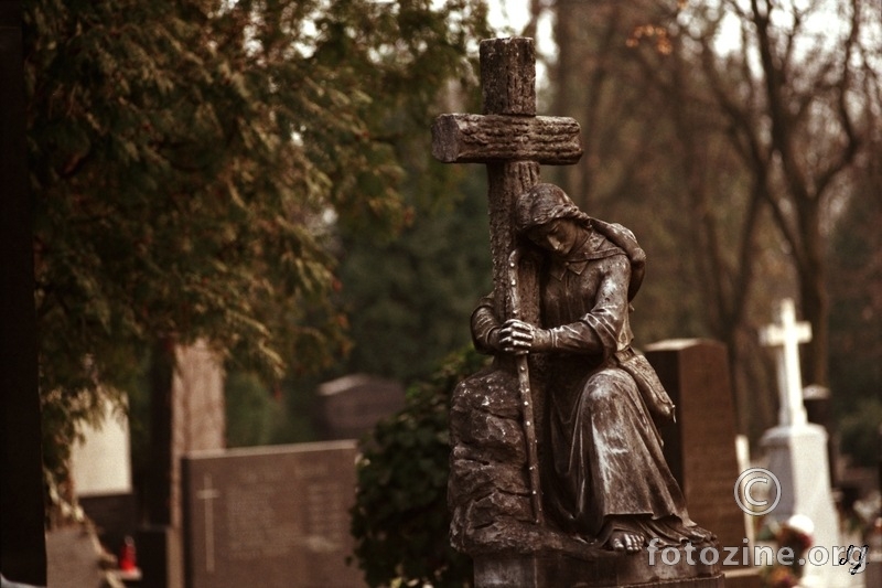 svatko svoj križ nosi