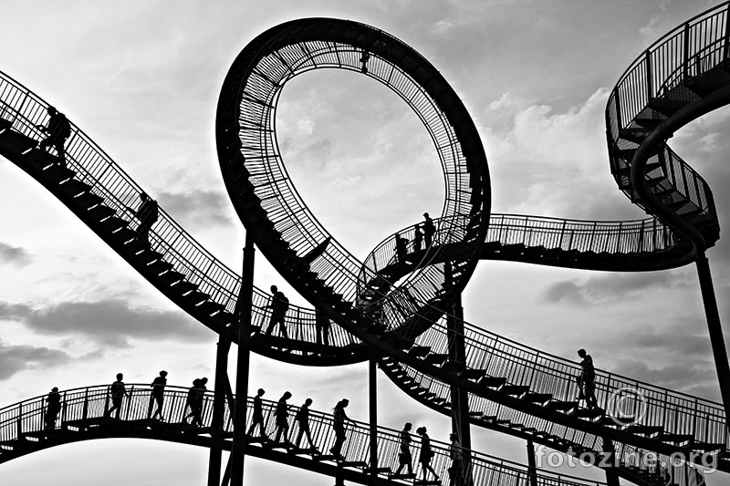 Tiger & Turtle