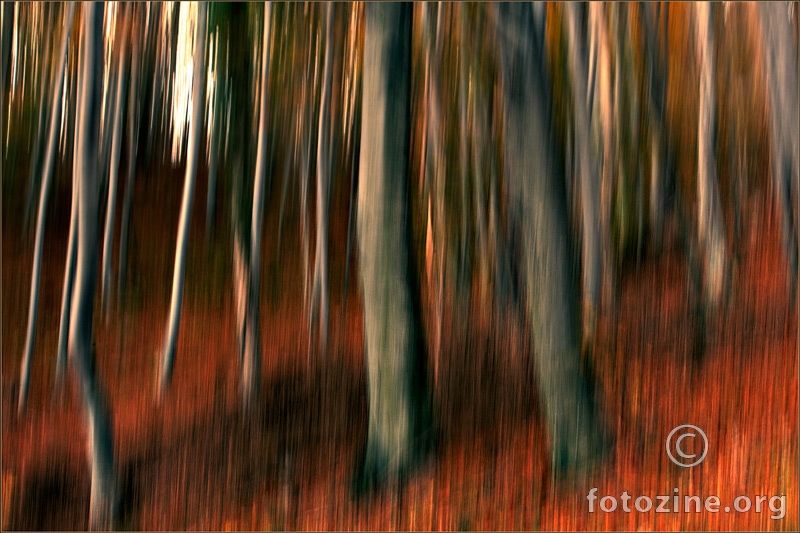 Čudnovata šuma - No. 3
