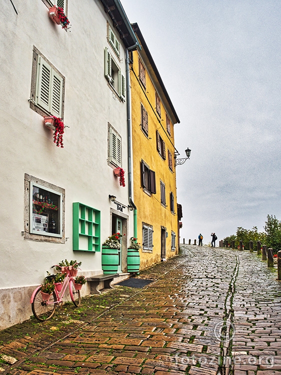 Motovun V
