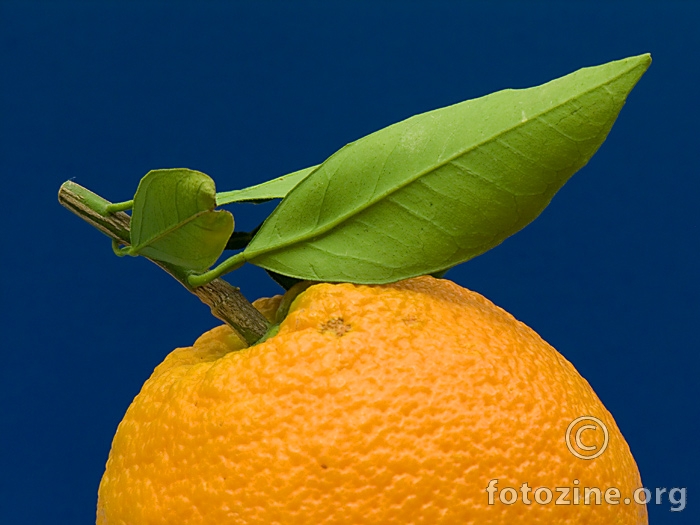 Bračka naranča