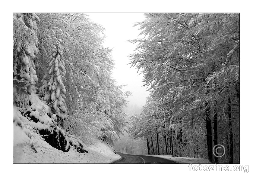 Prvi snijeg u Gorskom kotaru...