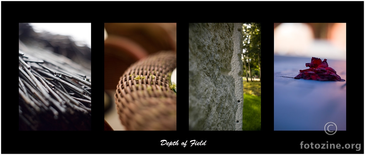 the depth of field