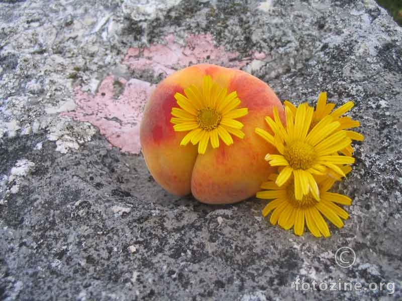 vočka i cvijet na podlozi