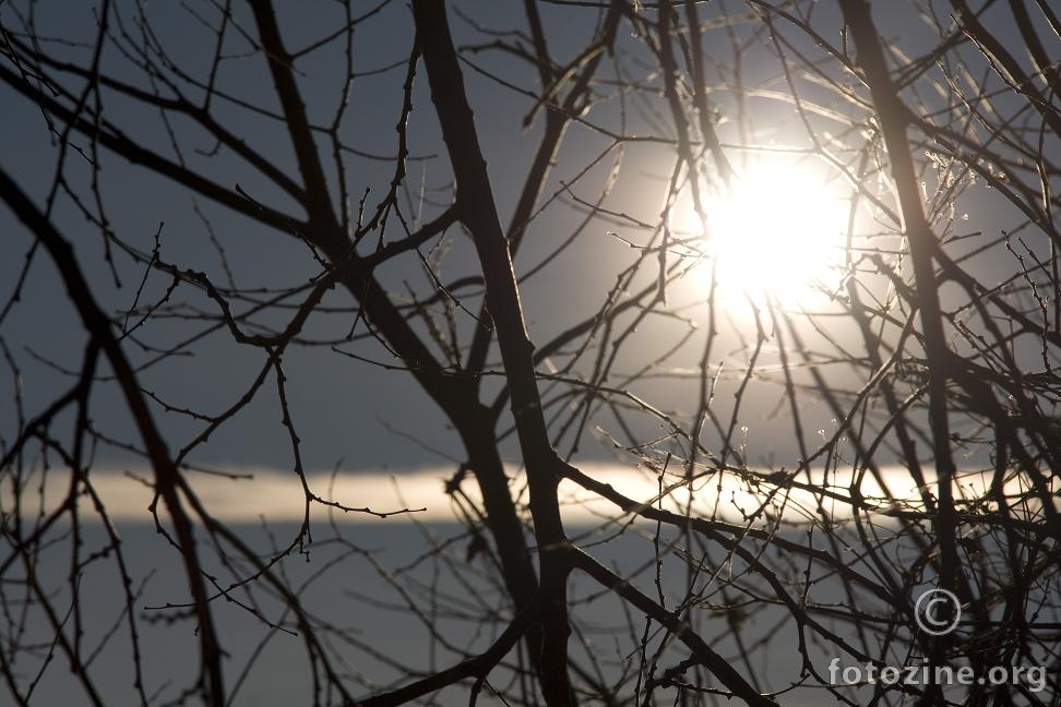 sunce i crta oblak kroz drvo