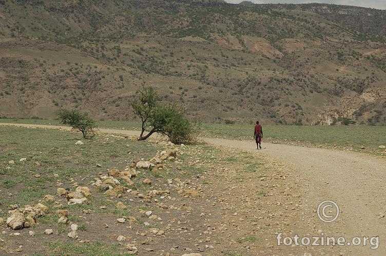 masai setac