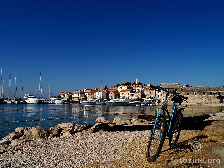 PLAVI