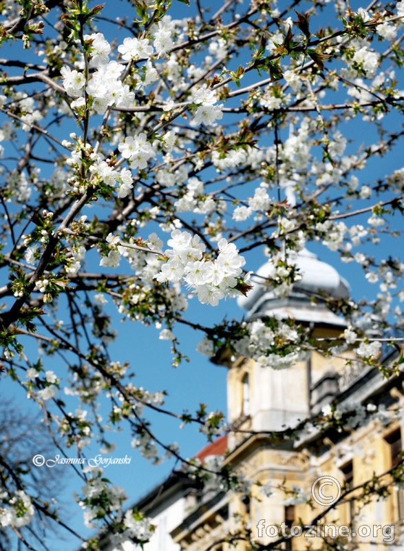 Proljeće u Ljubljani