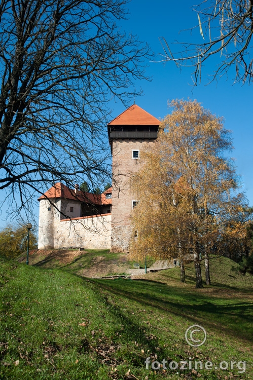 Stari grad  Dubovac