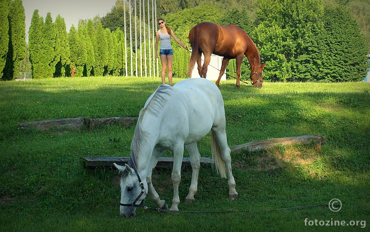 Djevojčica sa konjima