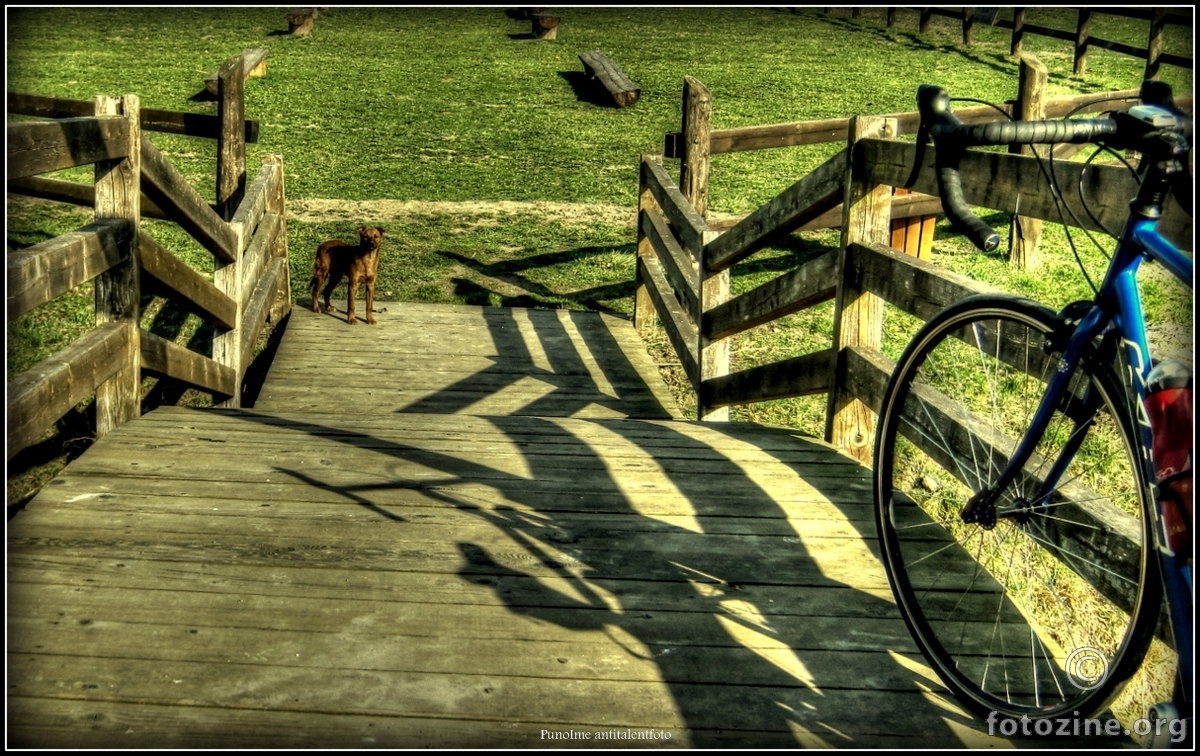 Pas,bicikl,ograda,klupe i trava