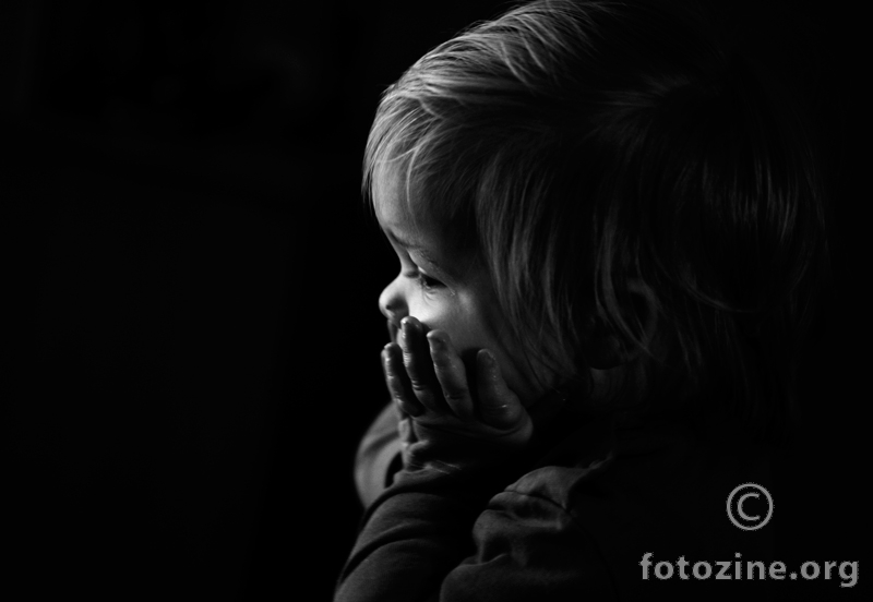 foto br. 222714