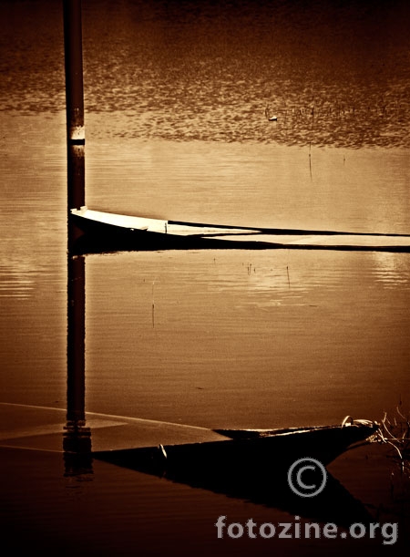 CAMCI