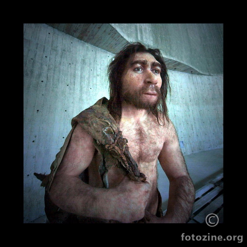 Neandertal by Zagorje