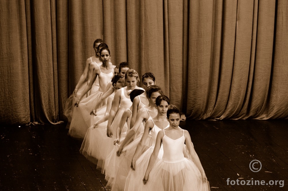foto br. 52485
