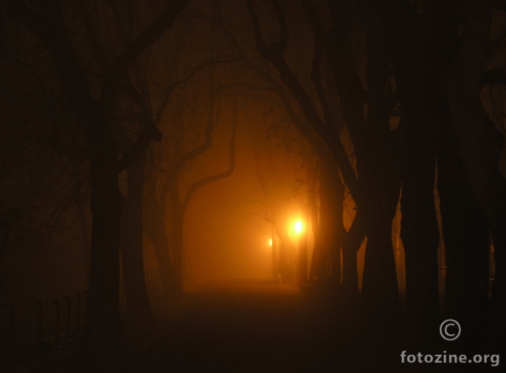 Strossmayerovo šetalište u magli