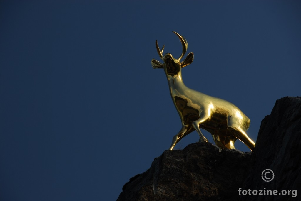 Kultainen peura (zlatni jelen)
