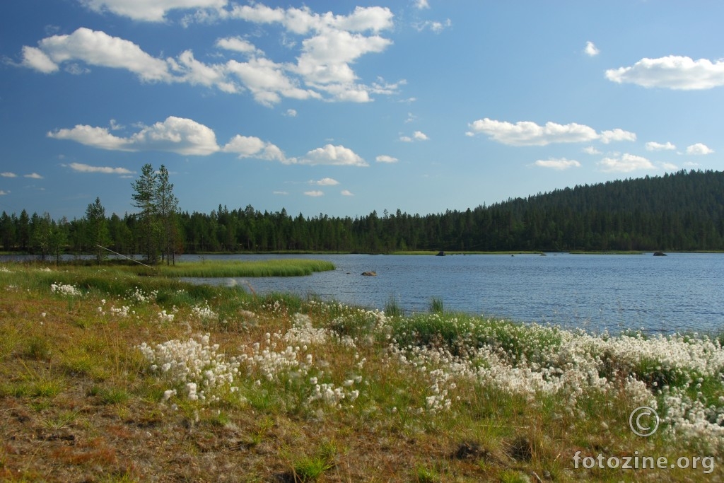 Malo tundre, šume, jezero...Laponija