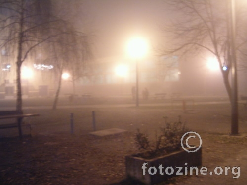 the park in the fog