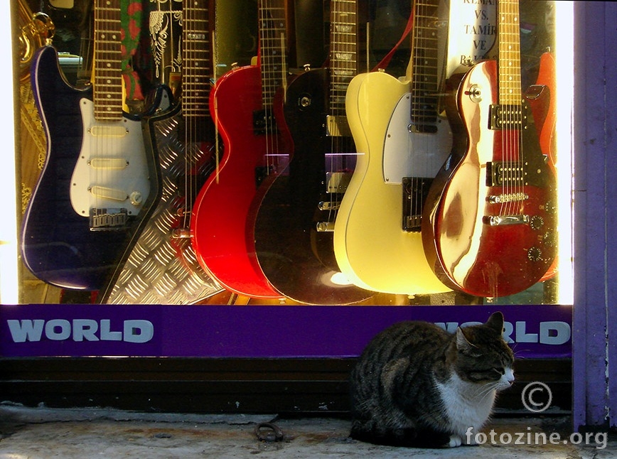 muzikalna maca