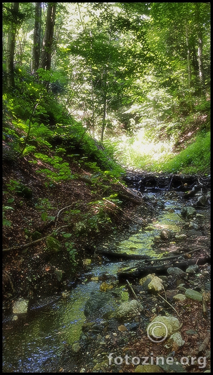 sound of silence
