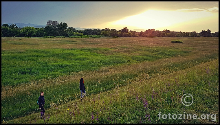 splendour in the grass