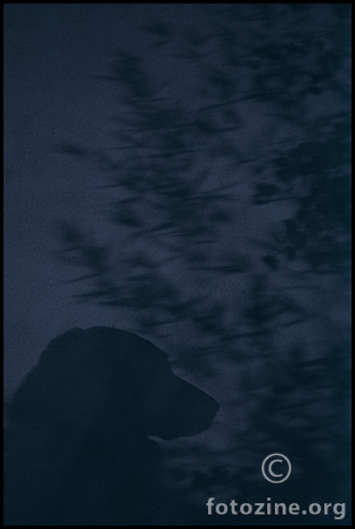 nocna straza