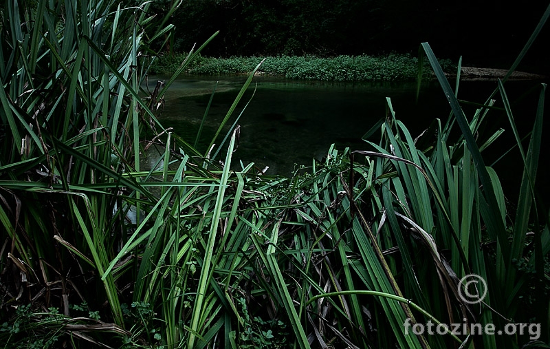 šumsko jezerce