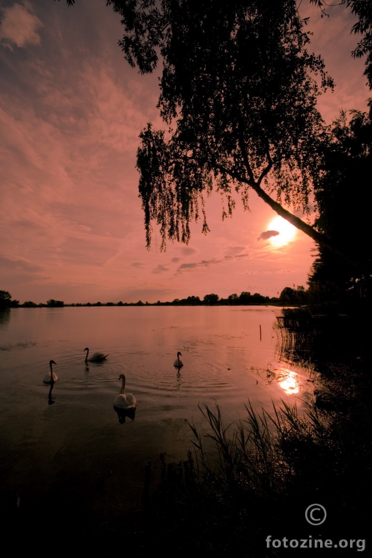 Labuđe jezero