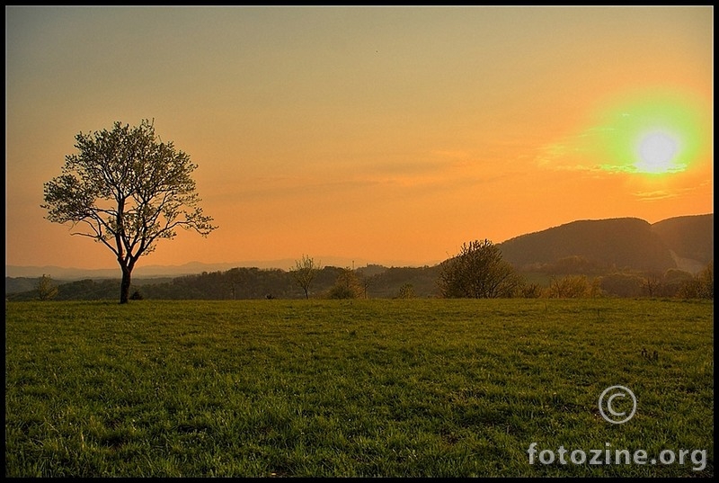 sunce
