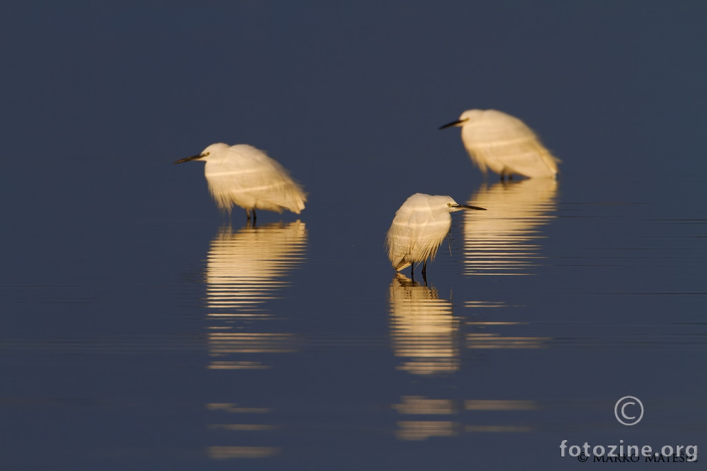 Tranquility