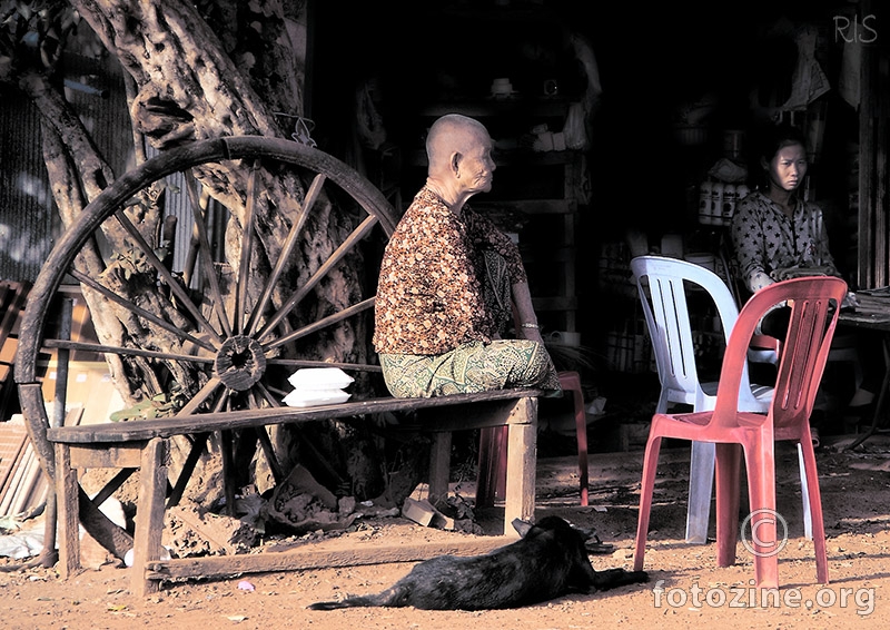 Cambodian contemplation