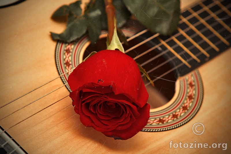 Guitar 'n' rose