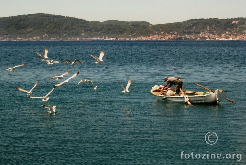 ribar i galebovi