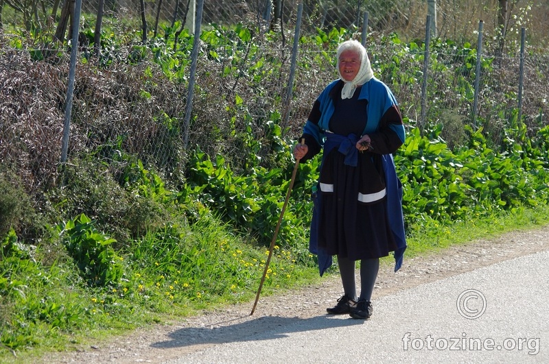 Baba Anka u šparogama