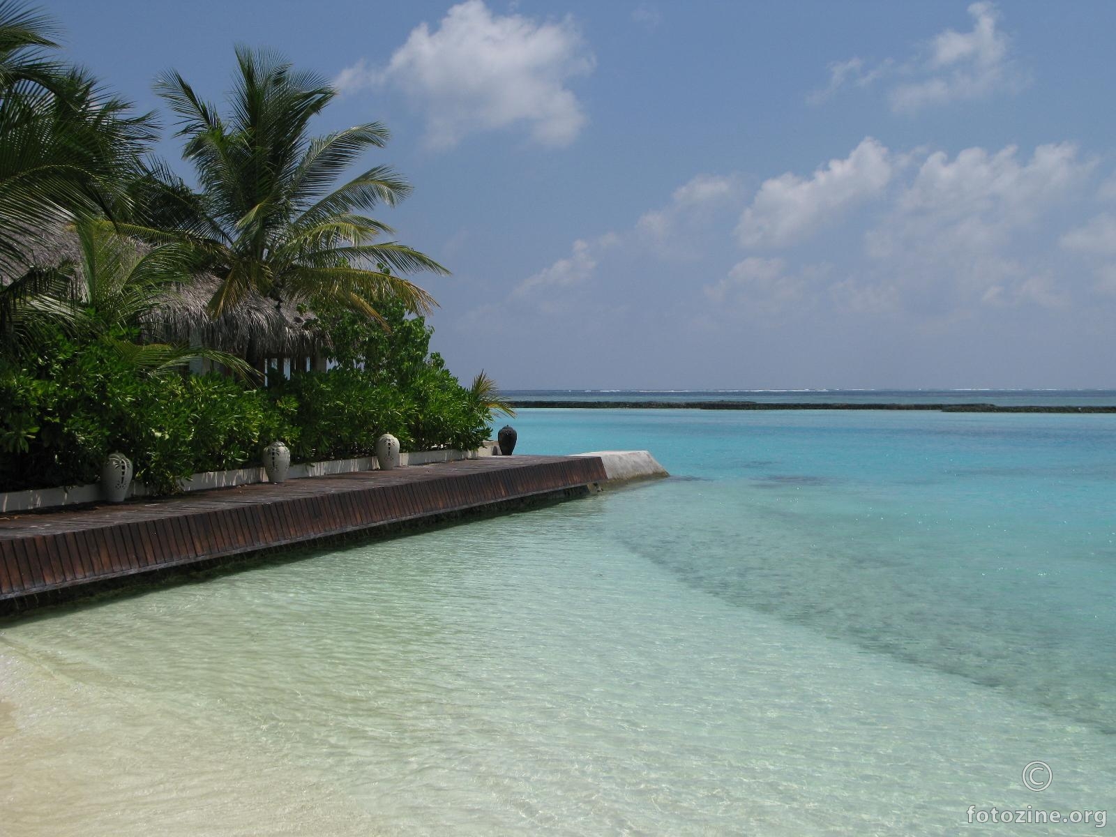 laguna