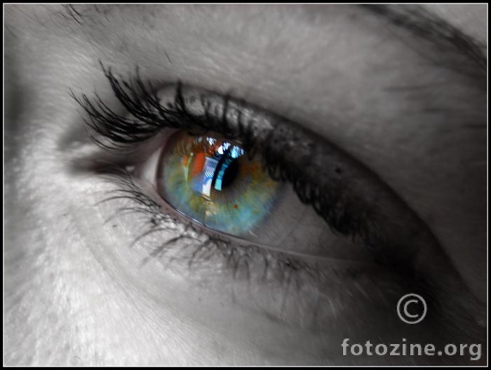 Multicolor Eye