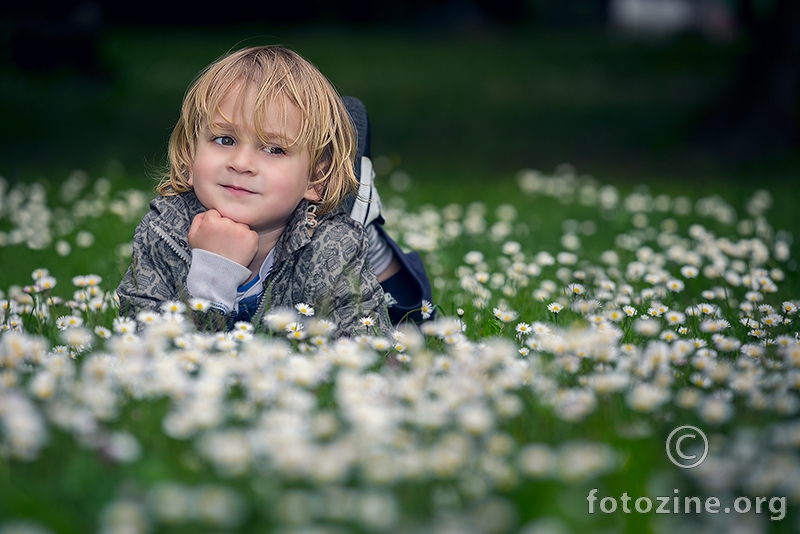 Noa, 2014.