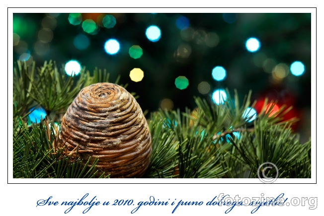 Sretna 2010.