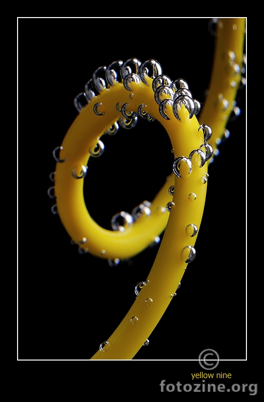 Yellow 9