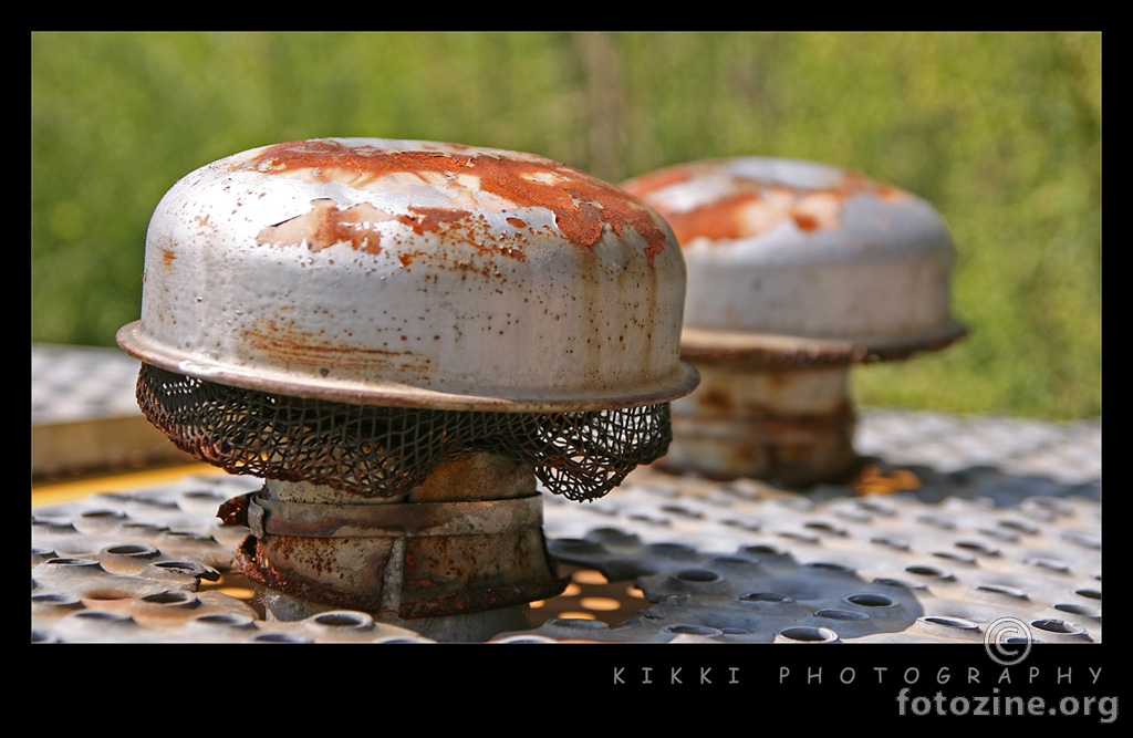 metal mushrooms