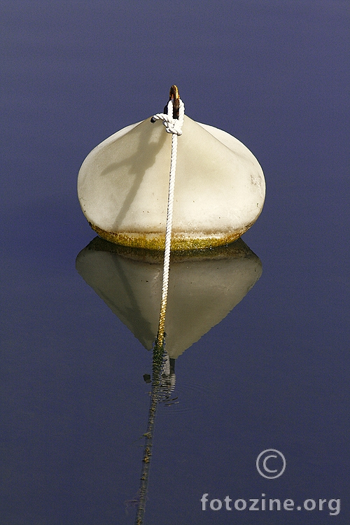 foto br. 176299