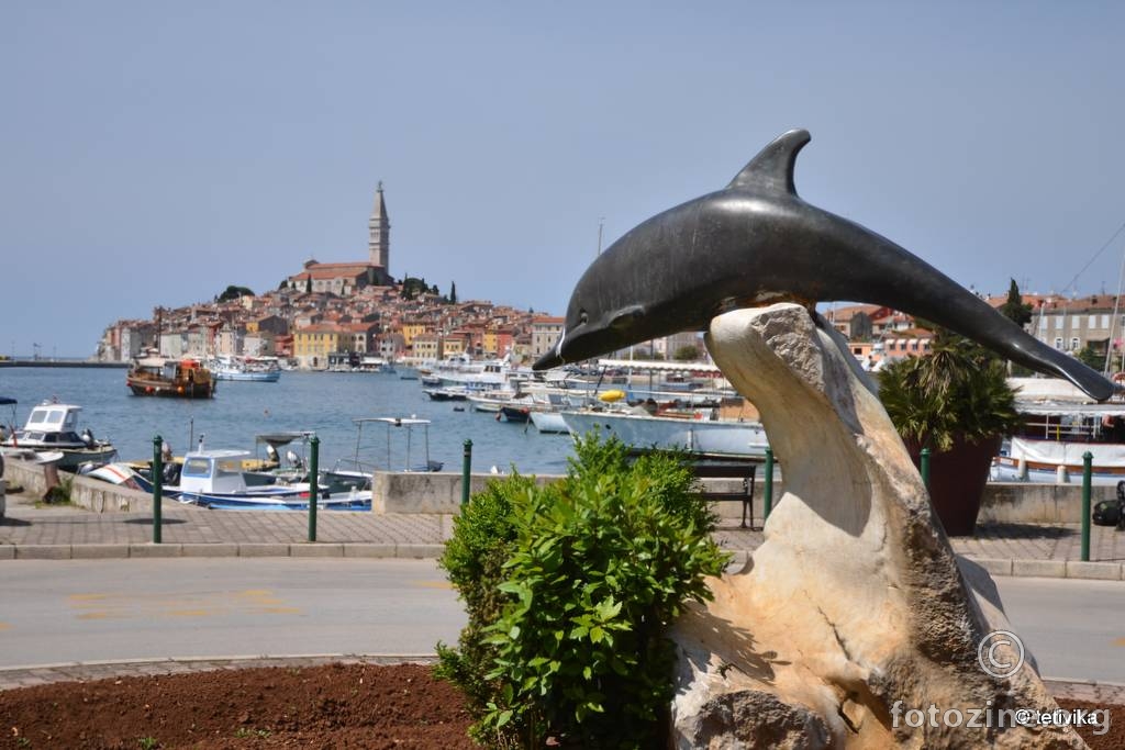 Rovinjski delfin