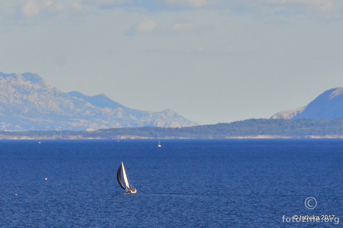 navigare
