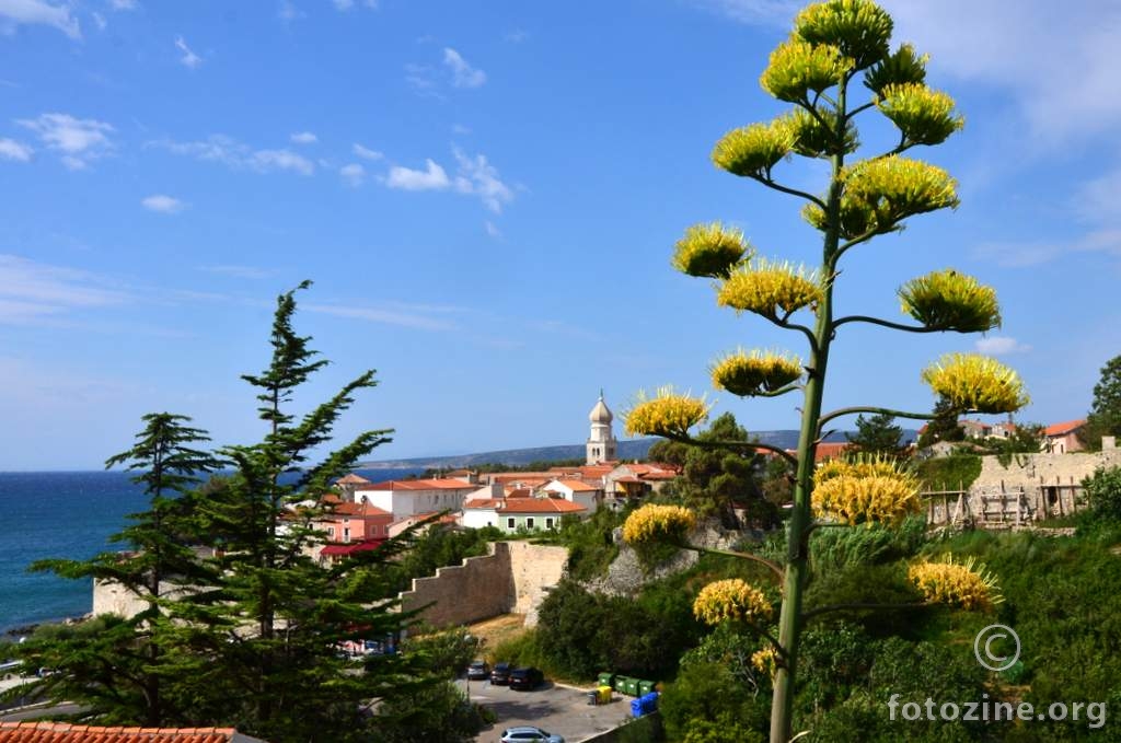 splendidissima civitas