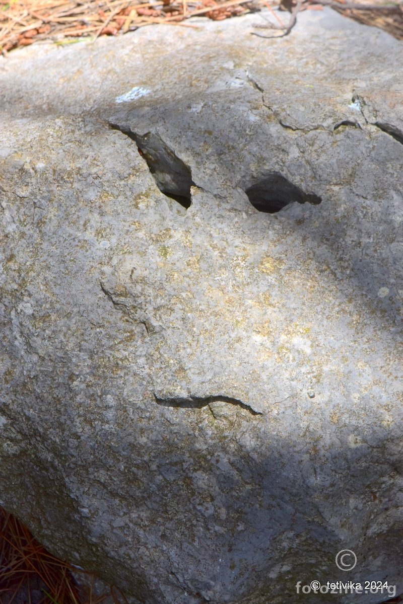 homolit (157)